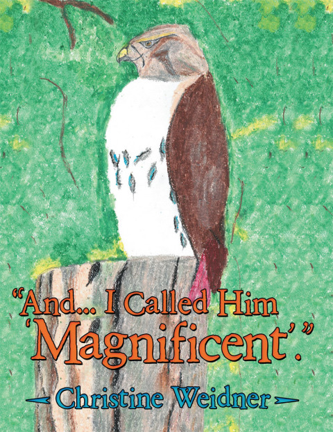 Cover image for book "And... I Called Him 'Magnificent'."