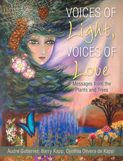 Cover image for book Voices of Light, Voices of Love