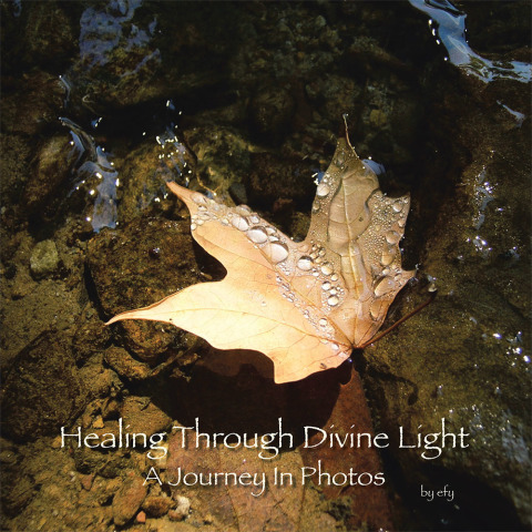 Cover image for book Healing Through Divine Light