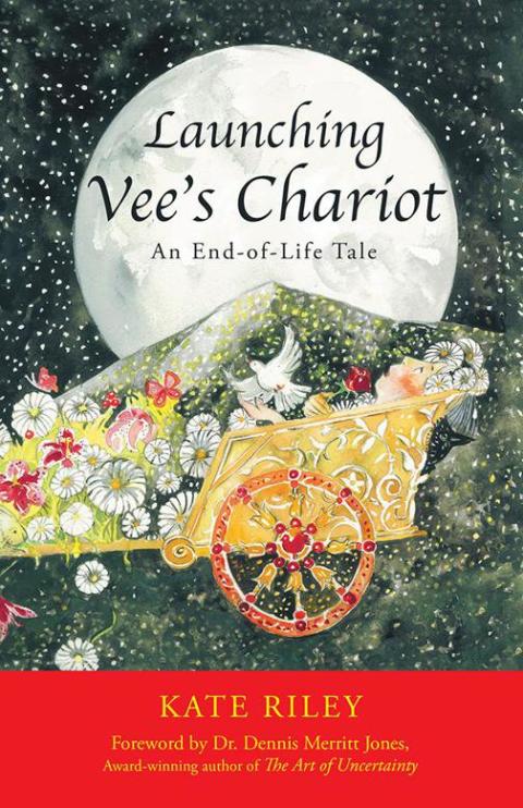Cover image for book Launching Vee’S Chariot