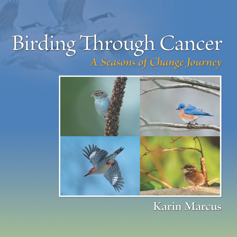 Cover image for book Birding Through Cancer