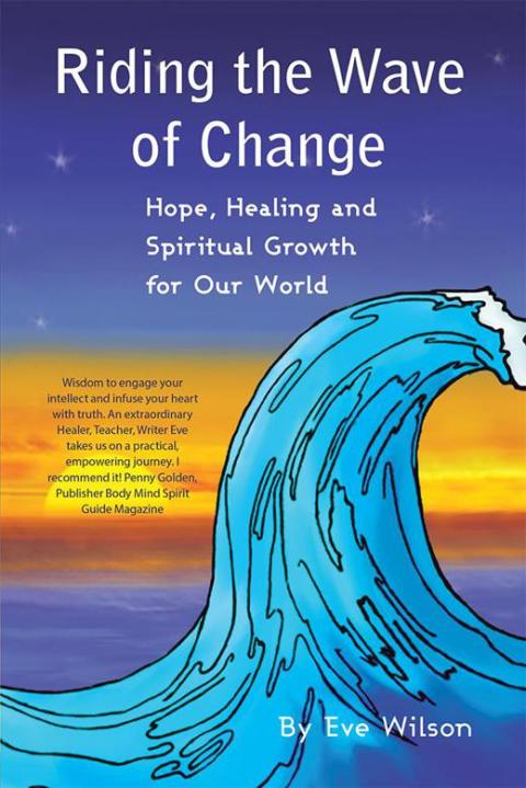 Cover image for book Riding the Wave of Change