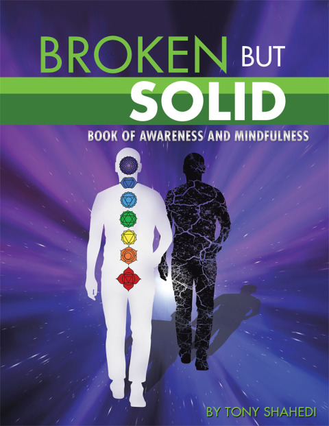Cover image for book Broken but Solid