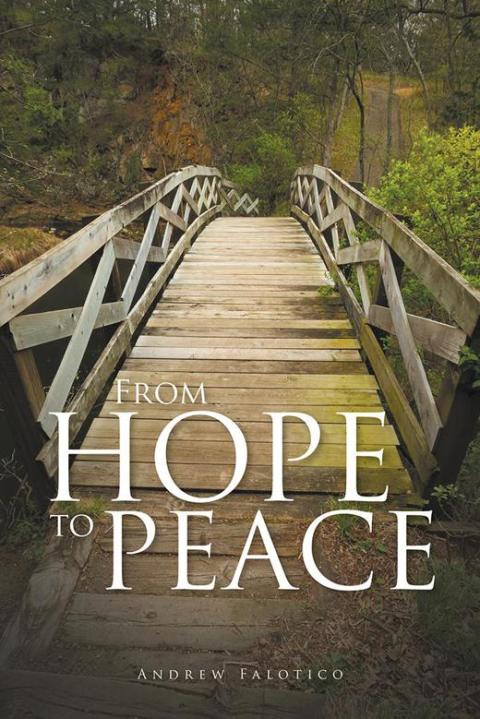 Cover image for book From Hope to Peace