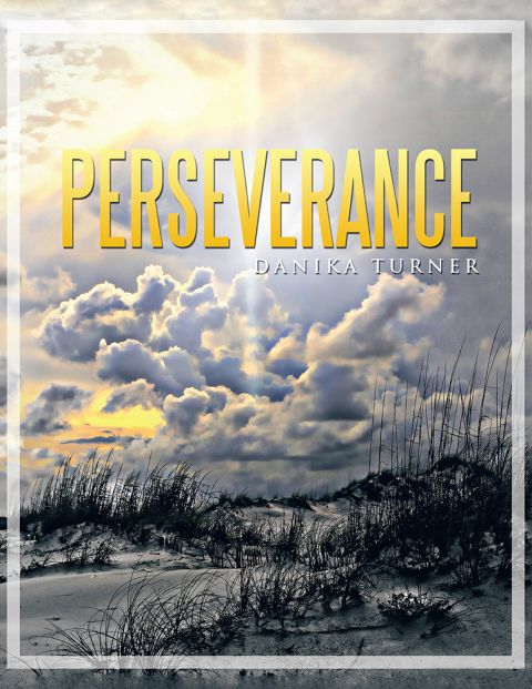 Cover image for book Perseverance