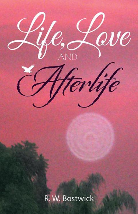 Cover image for book Life, Love and Afterlife