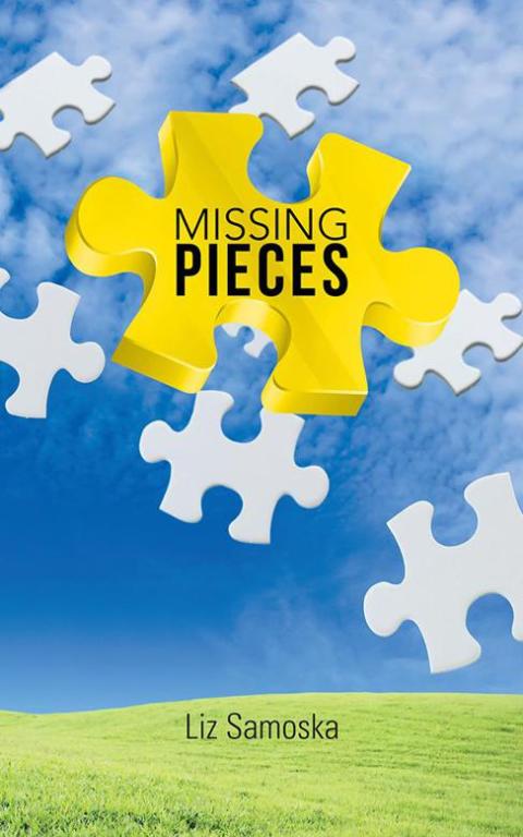 Cover image for book Missing Pieces