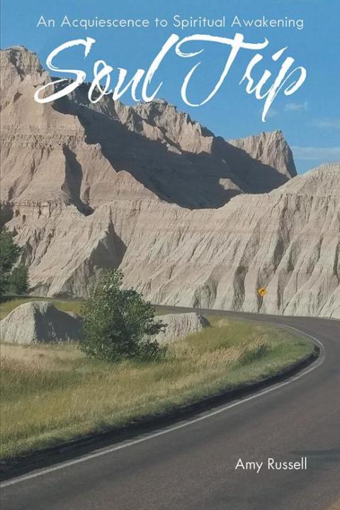 Cover image for book Soul Trip