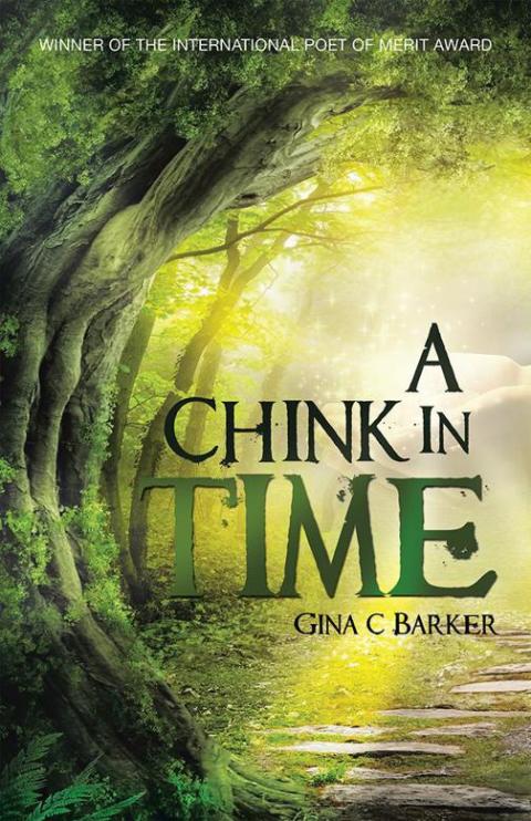 Cover image for book A Chink in Time