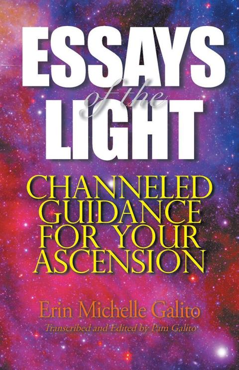 Cover image for book Essays of the Light