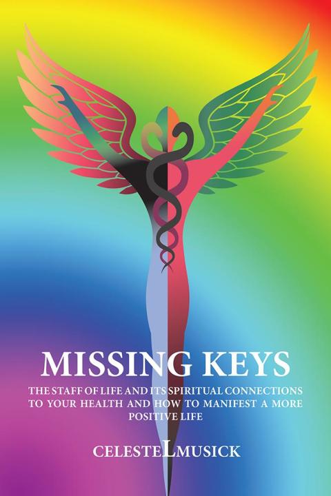Cover image for book Missing Keys