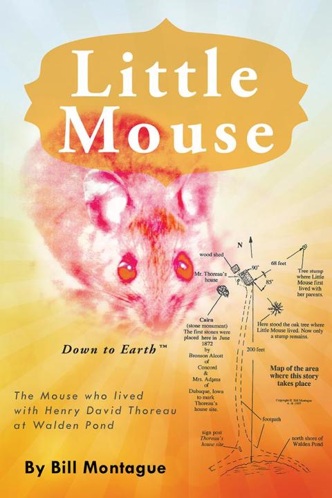 Cover image for book Little Mouse