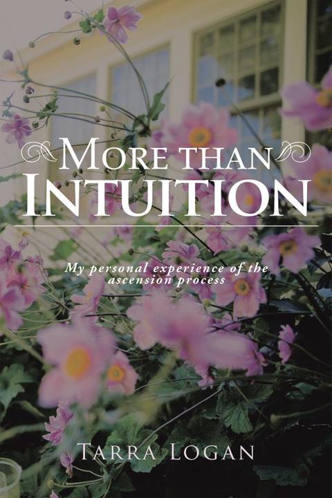 Cover image for book More Than Intuition