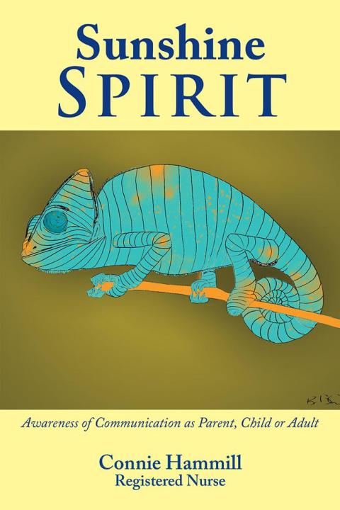 Cover image for book Sunshine Spirit