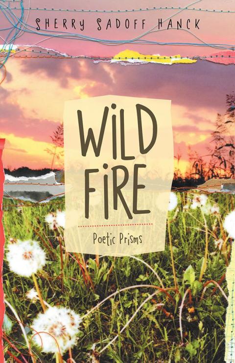 Cover image for book Wild Fire