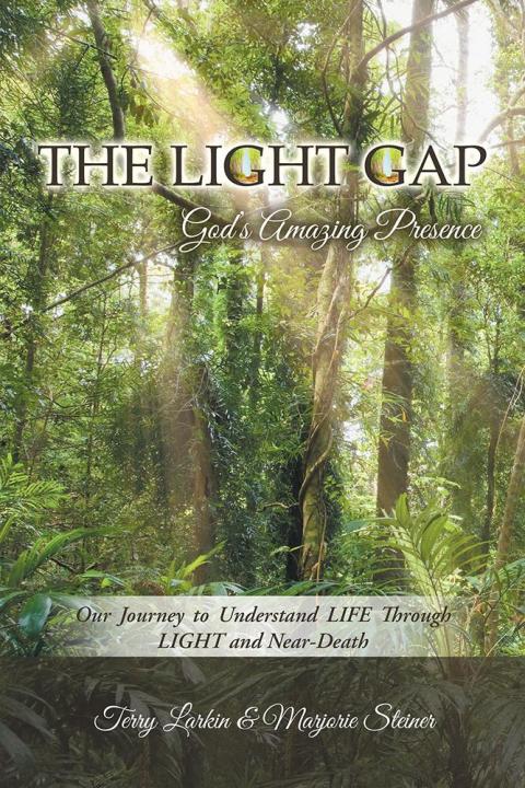 Cover image for book The Light Gap: God’S Amazing Presence