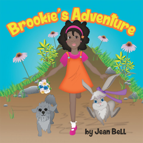 Cover image for book Brookie’S Adventure