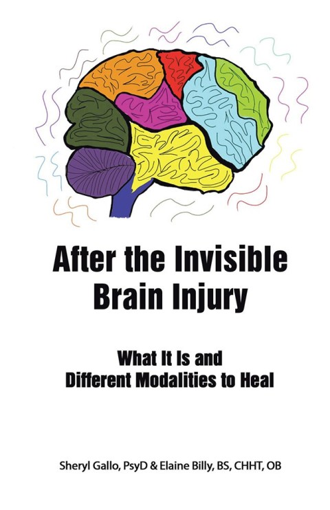 Cover image for book After the Invisible Brain Injury