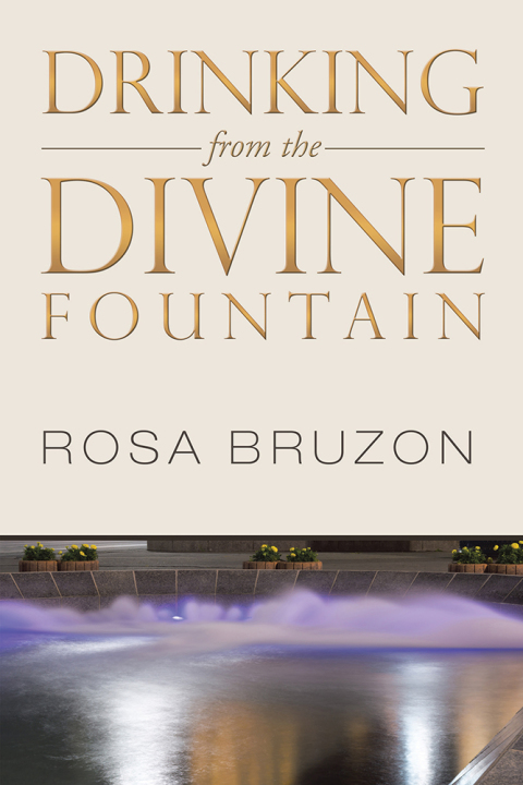 Cover image for book Drinking from the Divine Fountain