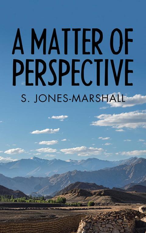 Cover image for book A Matter of Perspective