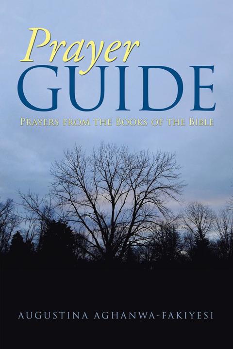Cover image for book Prayer Guide