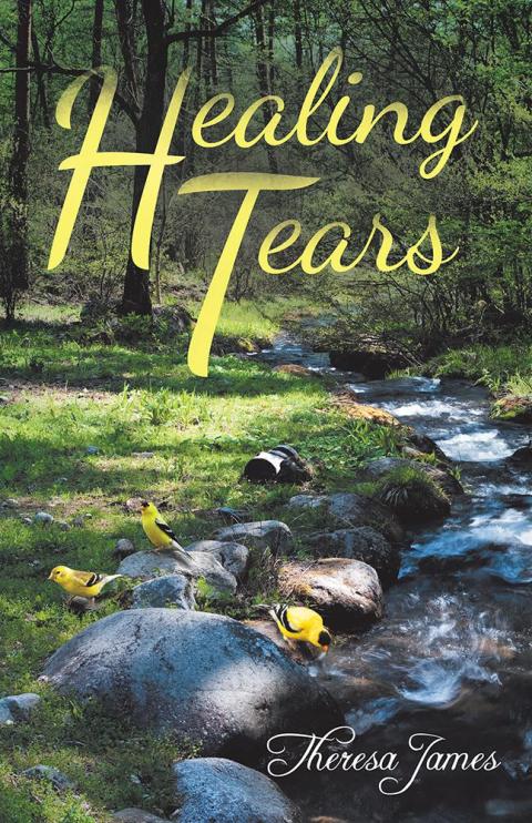 Cover image for book Healing Tears