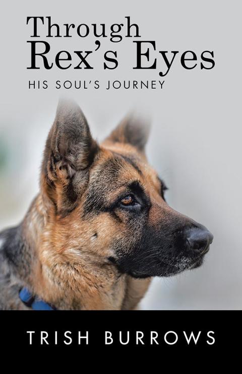 Cover image for book Through Rex’S Eyes