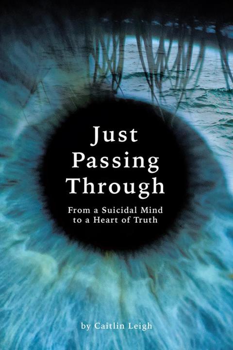 Cover image for book Just Passing Through