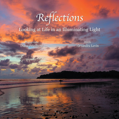 Cover image for book Reflections