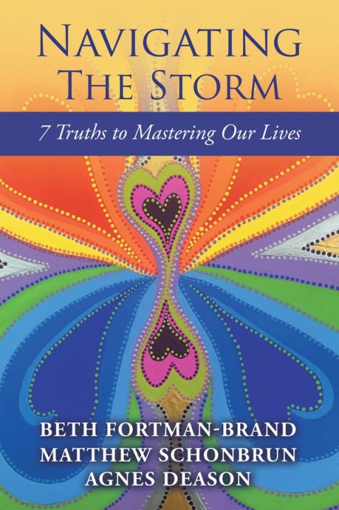 Cover image for book Navigating the Storm