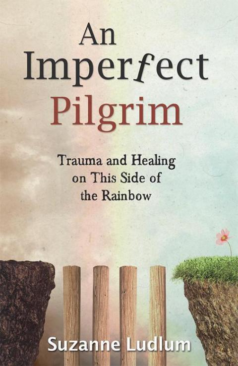 Cover image for book An Imperfect Pilgrim