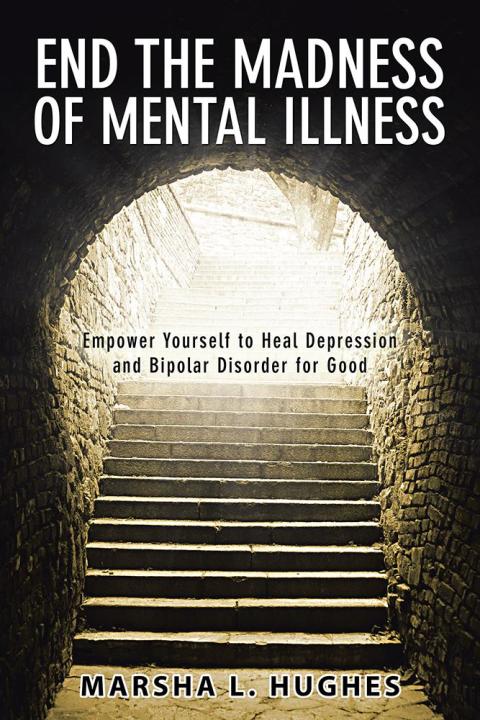 Cover image for book End the Madness of Mental Illness
