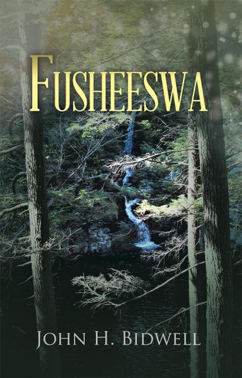 Cover image for book Fusheeswa
