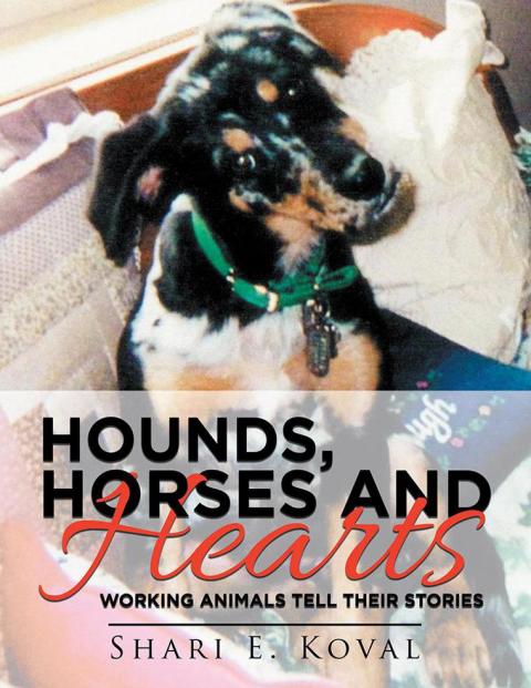 Cover image for book Hounds, Horses and Hearts