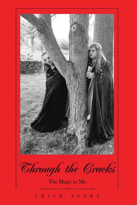 Cover image for book Through the Cracks