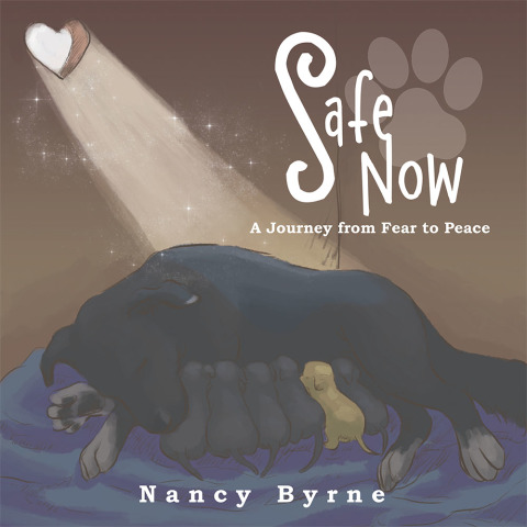 Cover image for book Safe Now