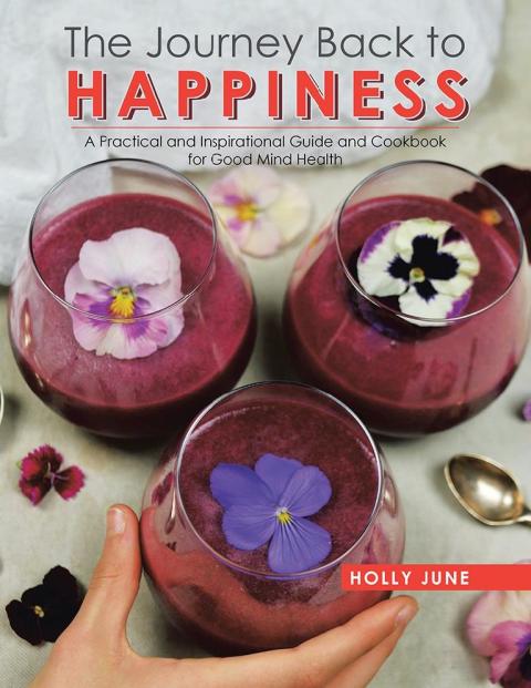 Cover image for book The Journey Back to Happiness