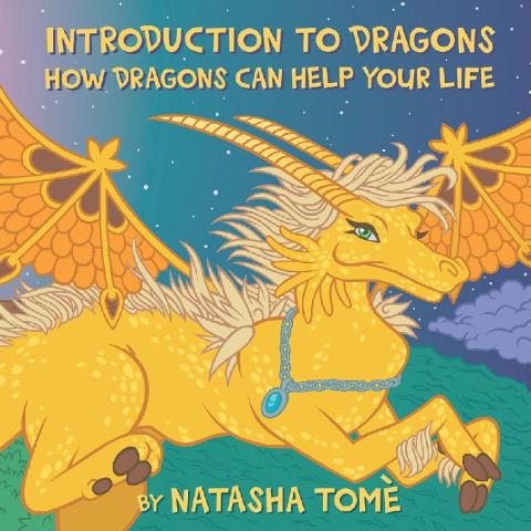 Cover image for book Introduction to Dragons