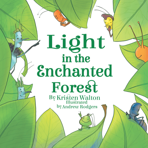 Cover image for book Light in the Enchanted Forest