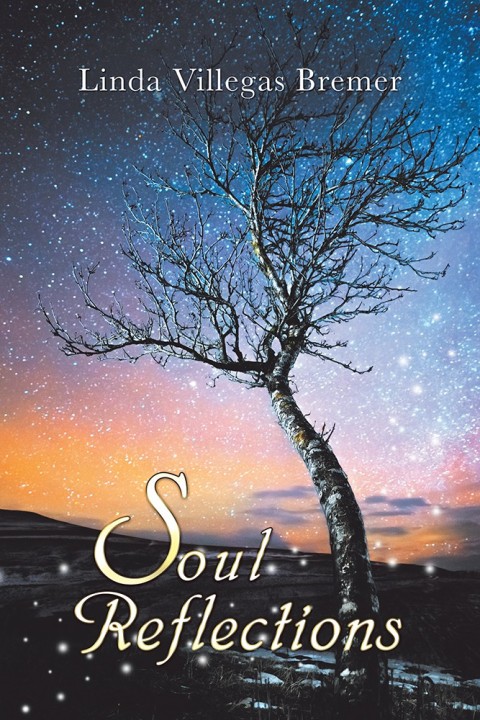Cover image for book Soul Reflections