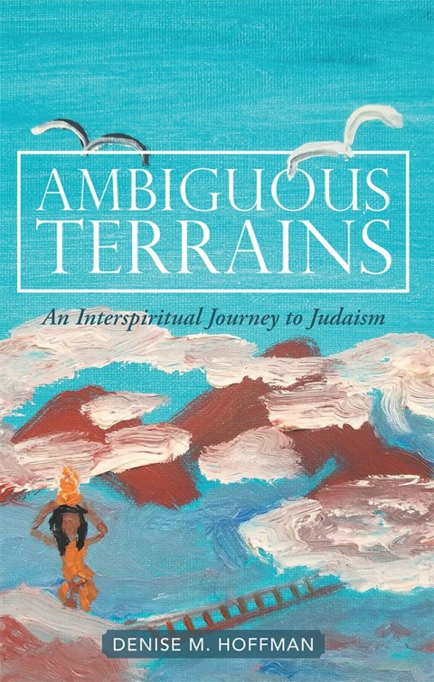 Cover image for book Ambiguous Terrains