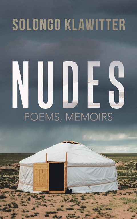 Cover image for book Nudes