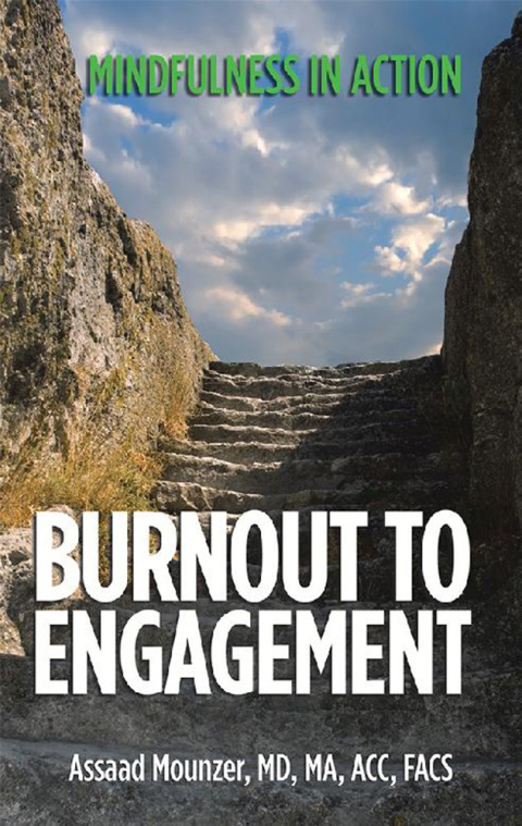 Cover image for book Burnout to Engagement