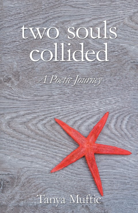 Cover image for book Two Souls Collided