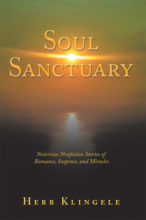 Cover image for book Soul Sanctuary
