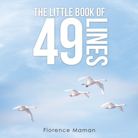 Cover image for book The Little Book of 49 Lines