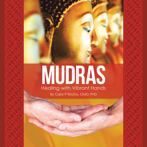Cover image for book Mudras
