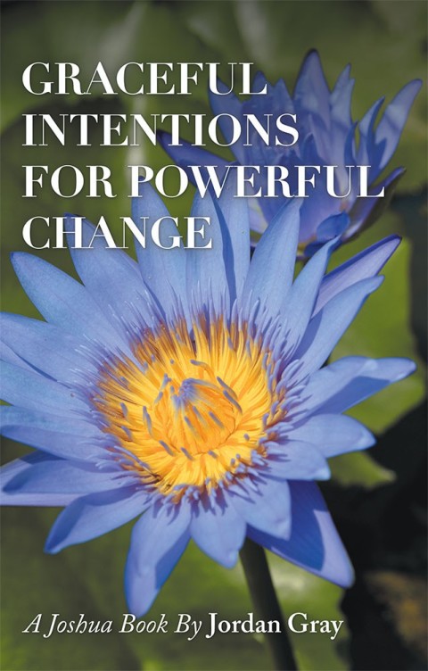 Cover image for book Graceful Intentions for Powerful Change