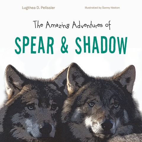 Cover image for book The Amazing Adventures of Spear & Shadow