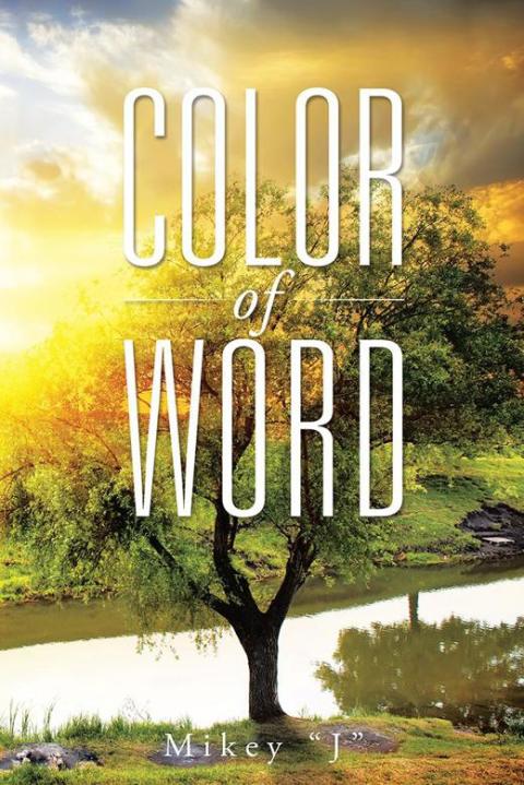 Cover image for book Color of Word